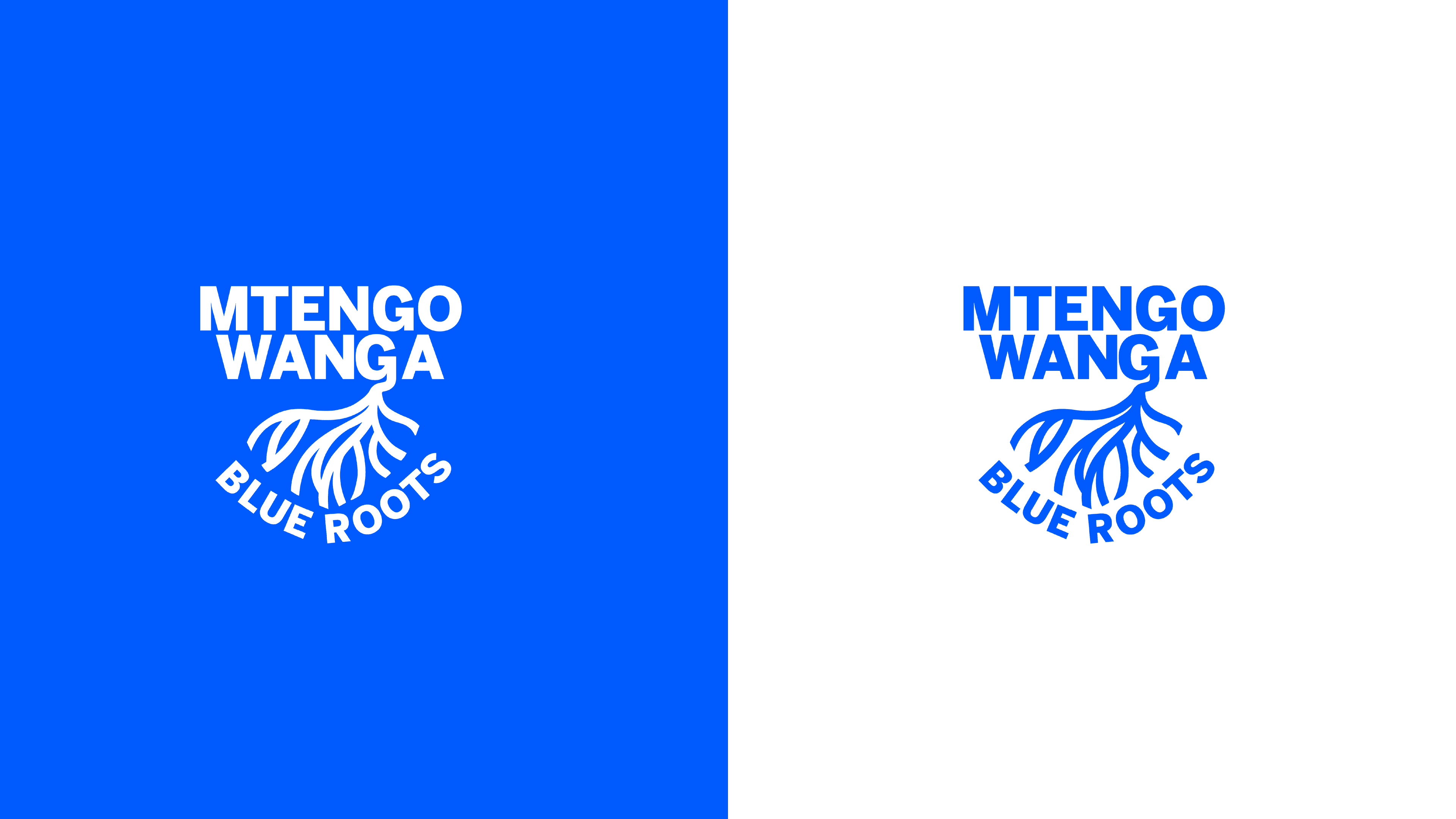 Mtengo Wanga: Launching a Movement for Growth and Restoration - Gallery 1