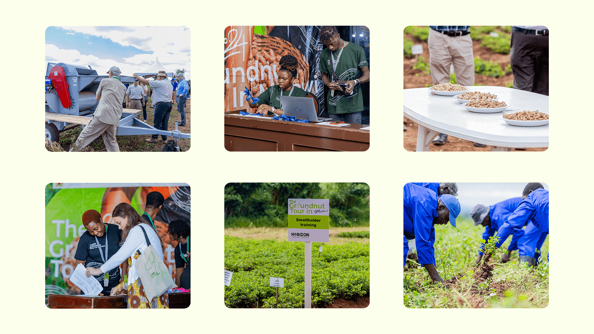 GroundNut Tour in Malawi - Gallery 7